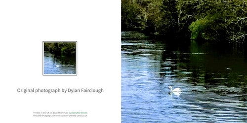 Swan in Fish Pond Lake- Greeting card by Dylan