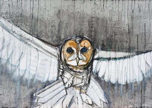 Barn Owl - Greeting Card