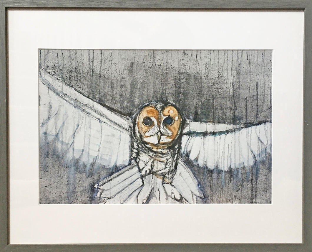 Barn Owl - Framed Print