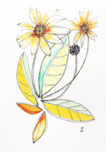 Load image into Gallery viewer, Orange Daisy - Greeting Card