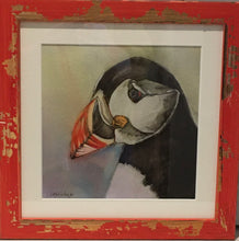Load image into Gallery viewer, Puffin - Framed Print - 4 colours, shabby chic frame.