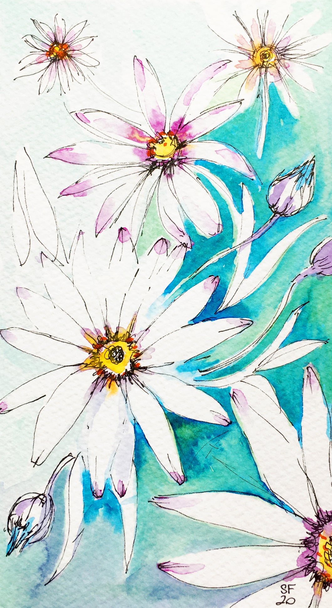 Daisies in Blue - Greeting Card