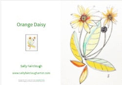 Orange Daisy - Greeting Card
